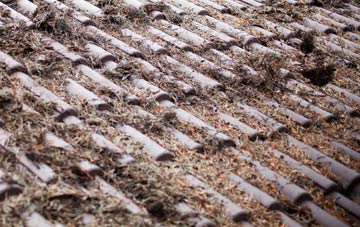 Suckley Knowl roof cleaning companies